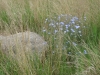 053