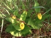 ipad-photo-2012-july-transfer-717